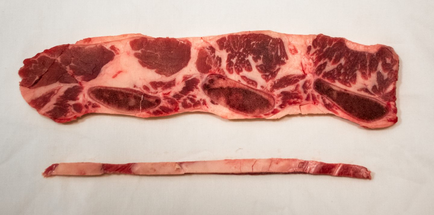 short rib