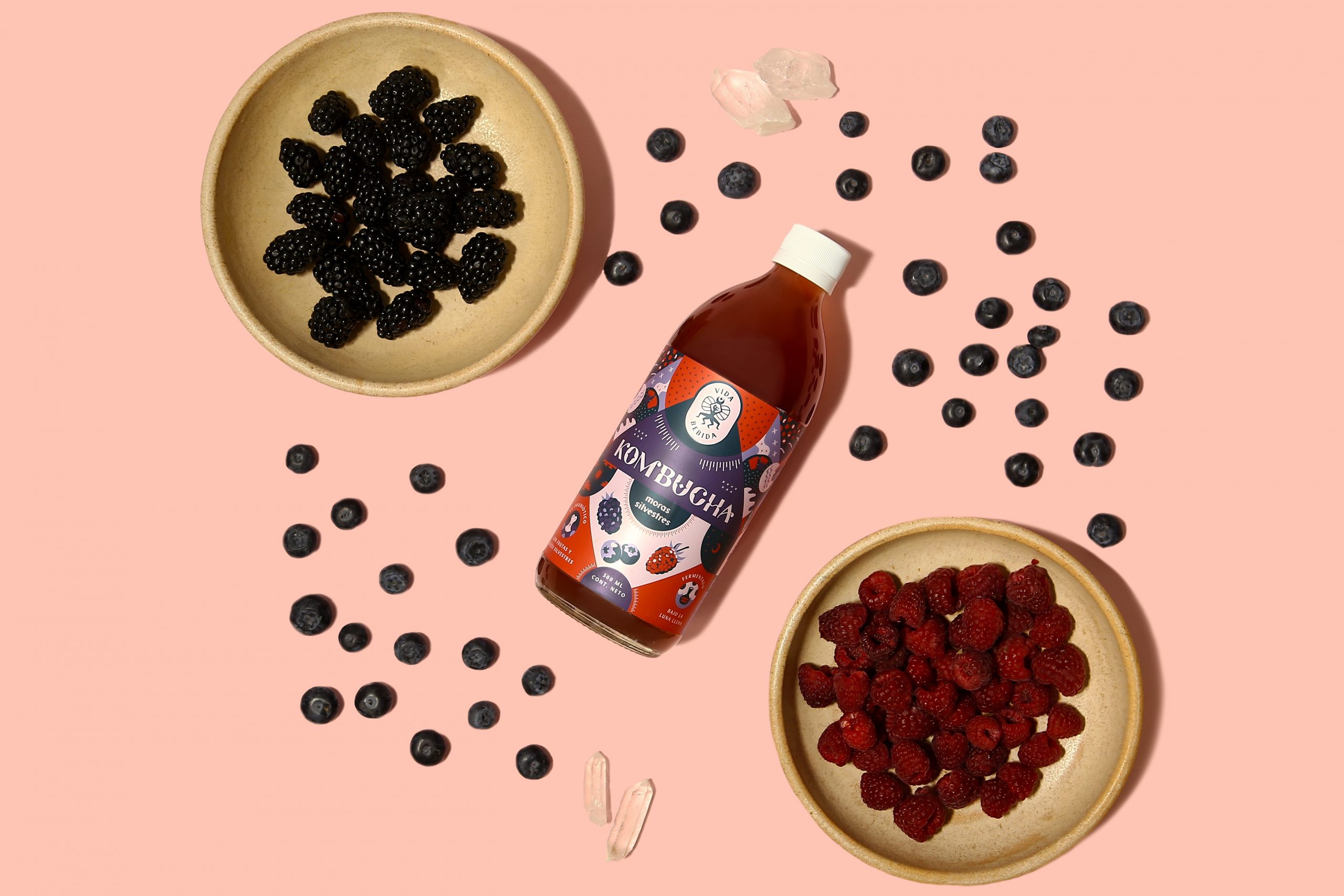 vida bebida kombucha