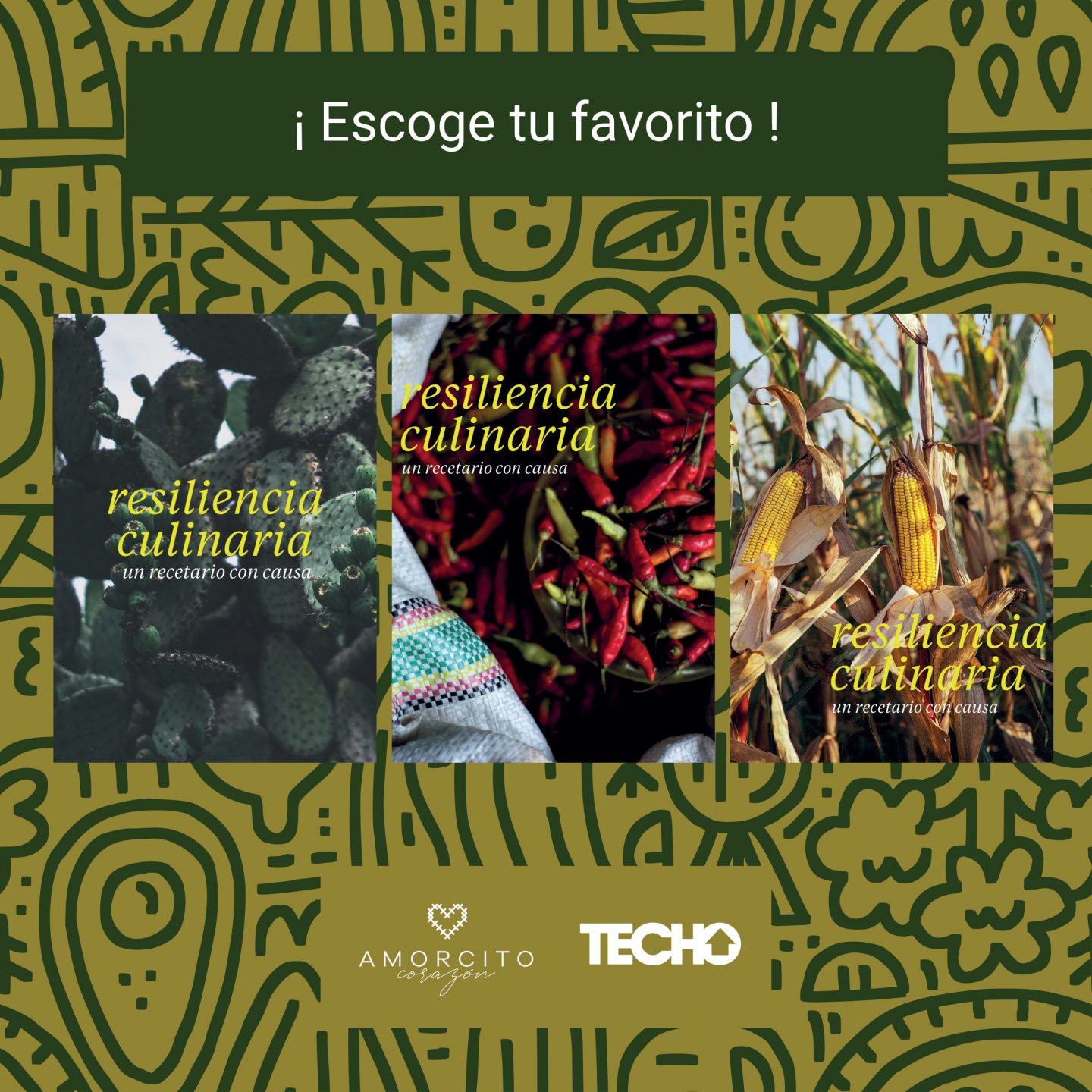 recetario con causa