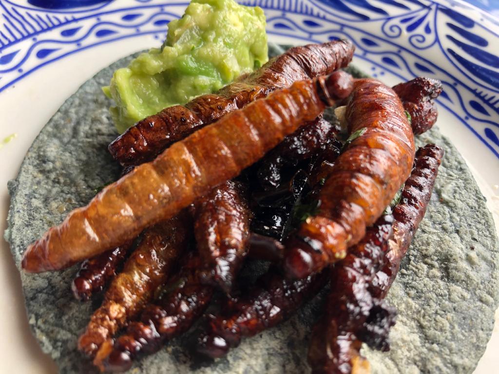 gusanos de maguey al ajillo antigua hacienda de tlalpan