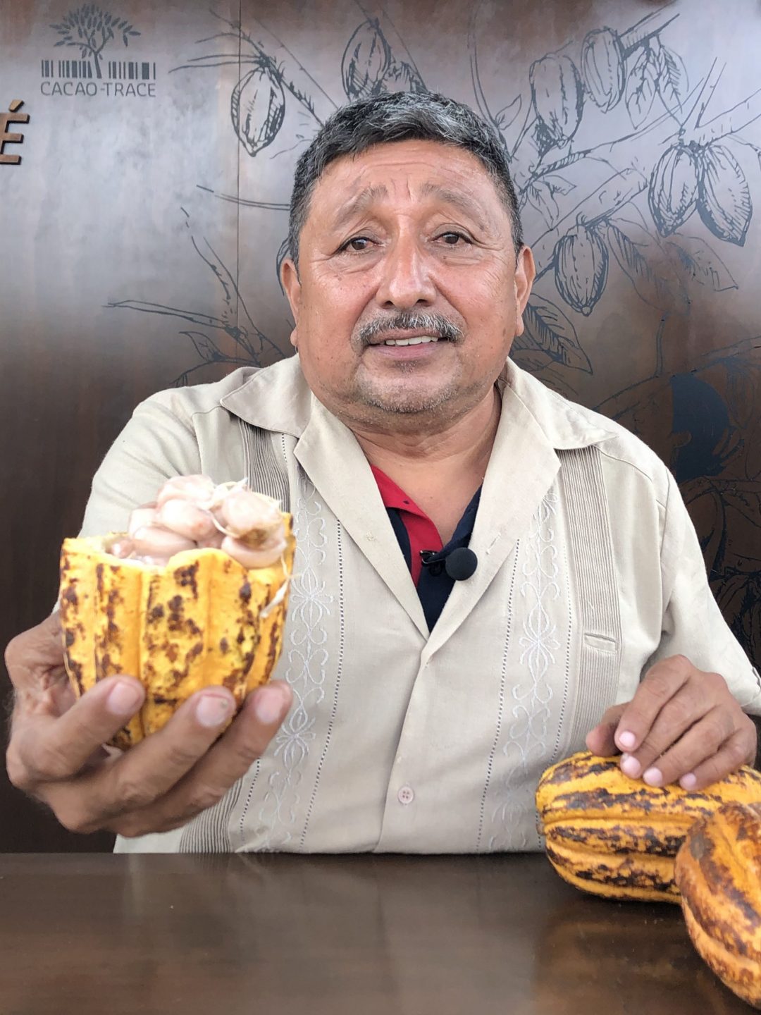 cacao maya