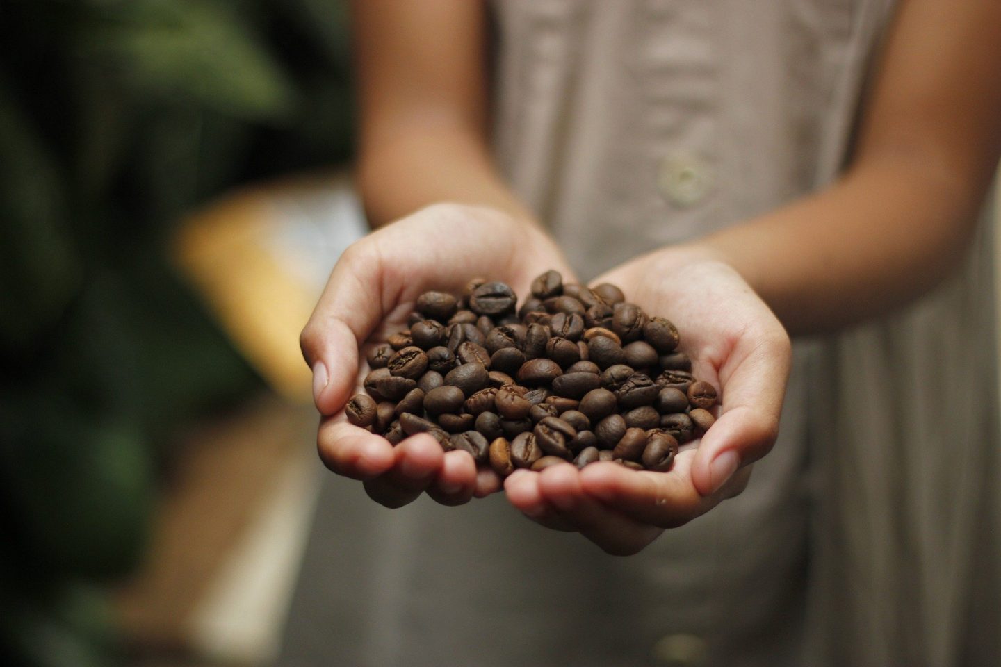 Día Internacional del Café