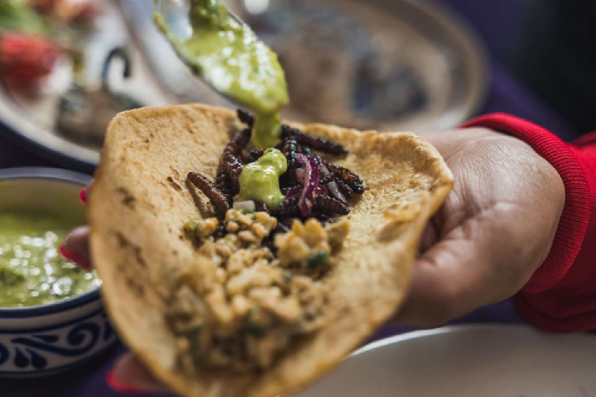 Taco con salsa de jumiles