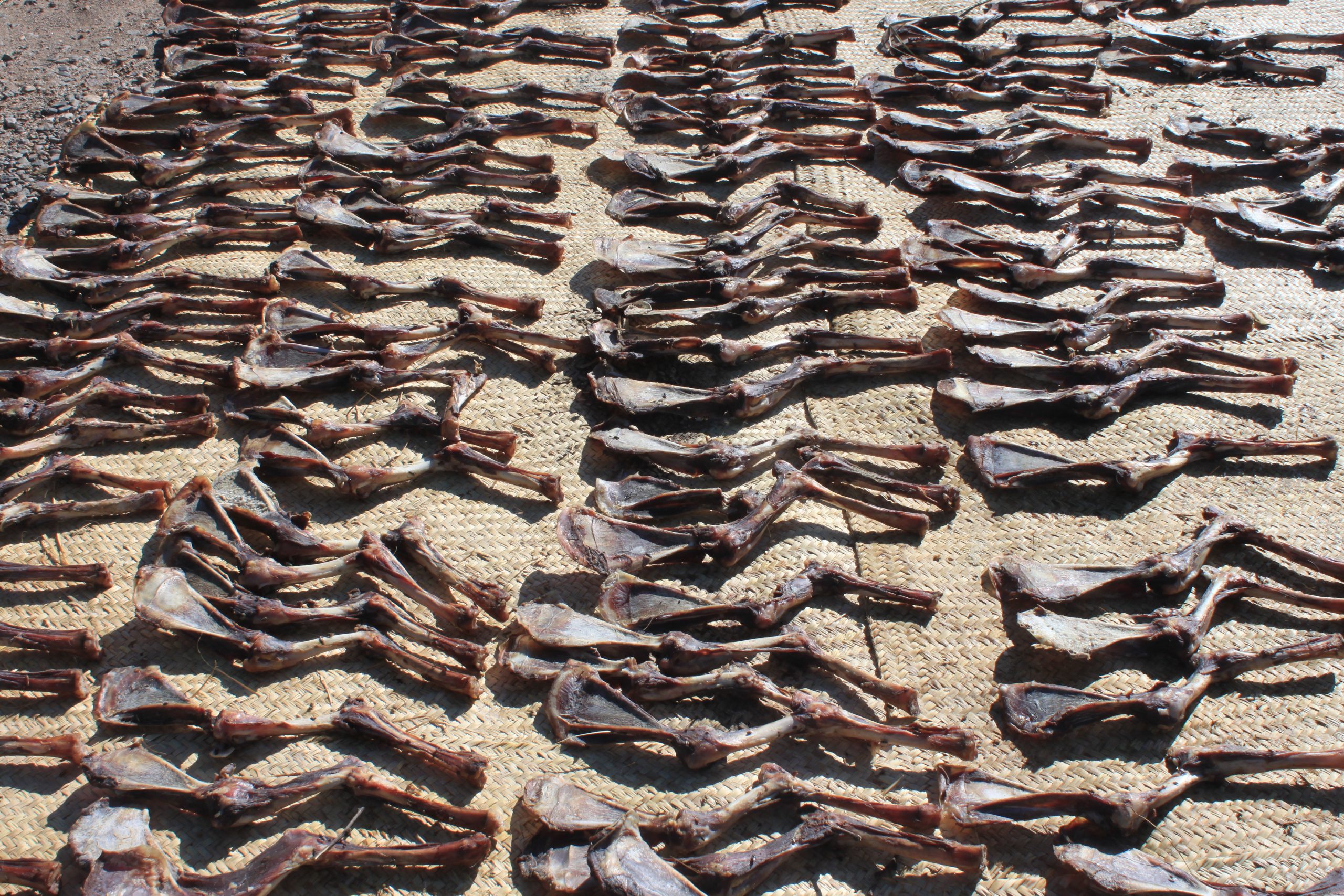 cocina mixteca mole de caderas