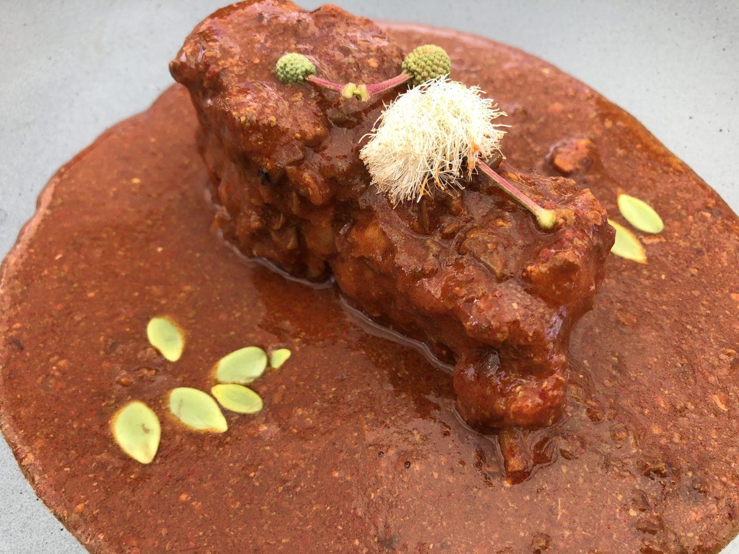 cocina mixteca mole de caderas