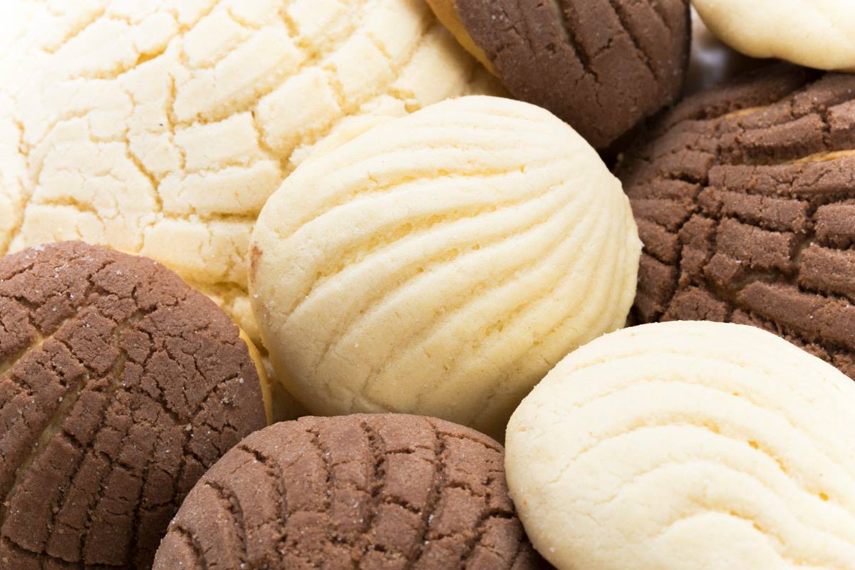 mejores conchas lugares