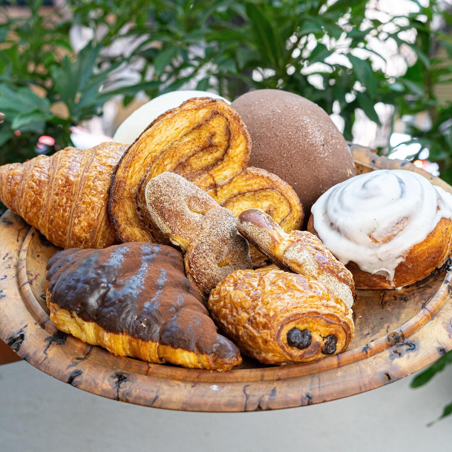 mejores conchas lugares