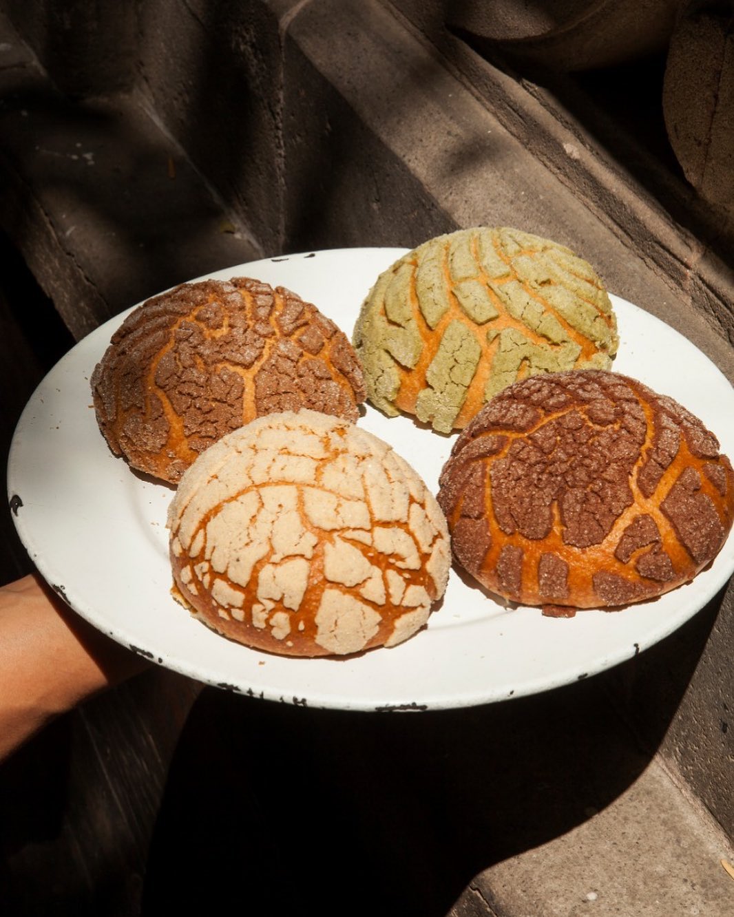 mejores conchas lugares