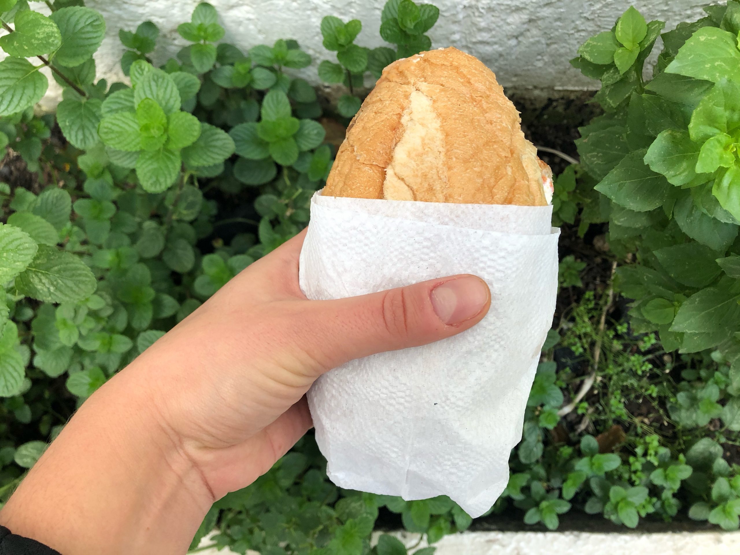 torta de chilaquiles