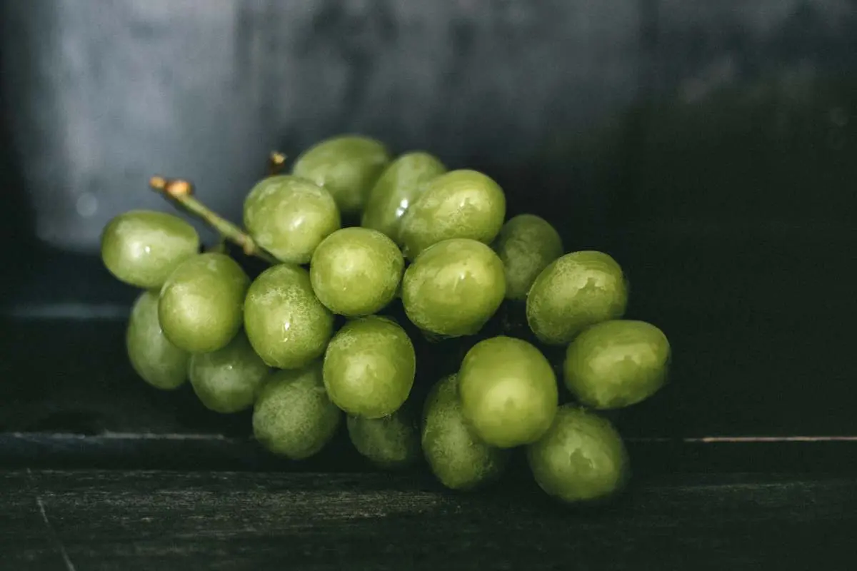 Las uvas son las protagonistas de la noche de Año Nuevo, pero sabes por qué comemos uvas en Año Nuevo.