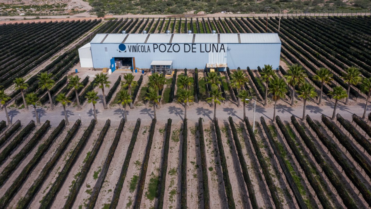 vino san luis potosí
