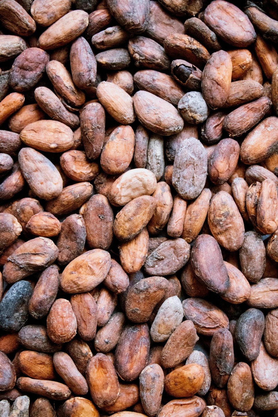 ceremonia del cacao