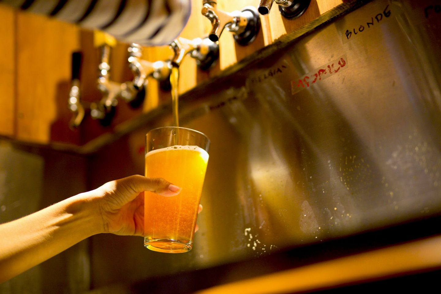 ruta cerveza tijuana día de la cerveza