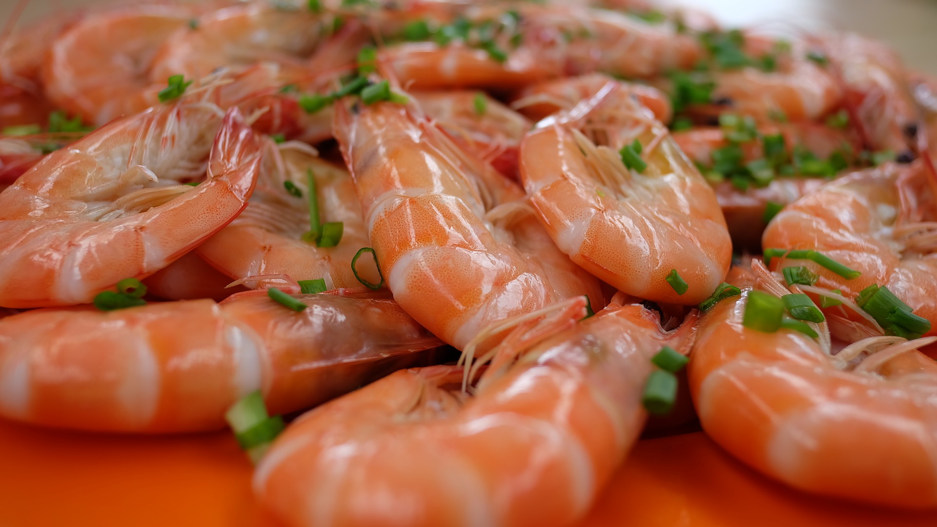 tips cocinar camarones