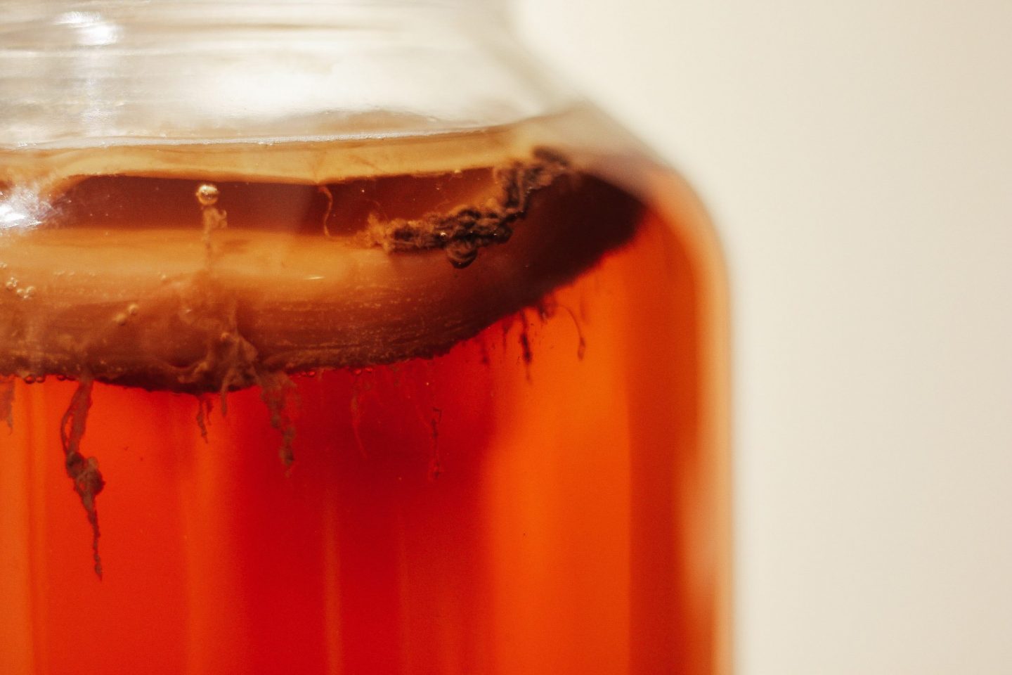 kombucha comestible salud mental