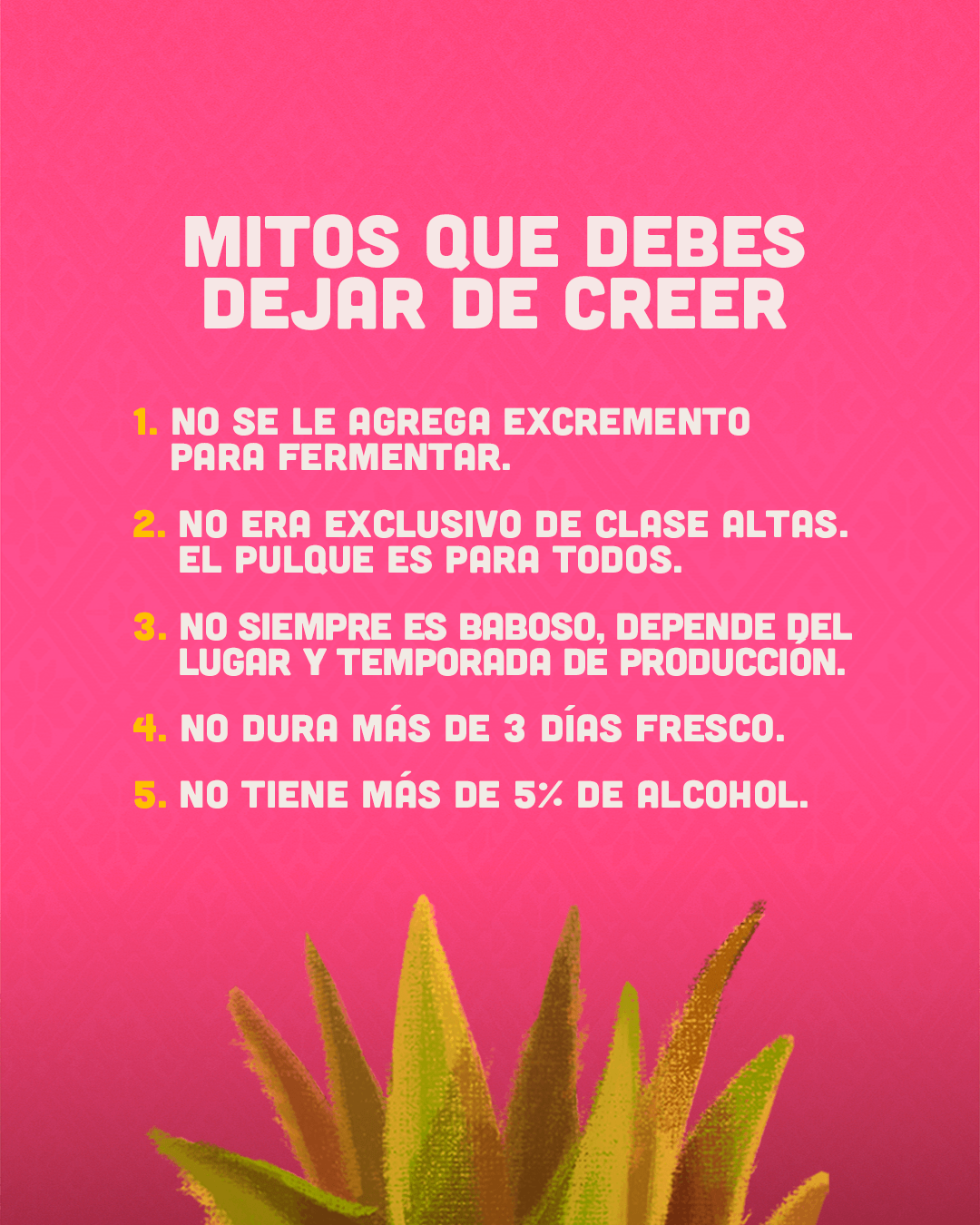 datos pulque