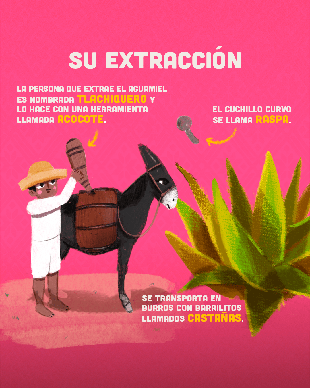 datos pulque