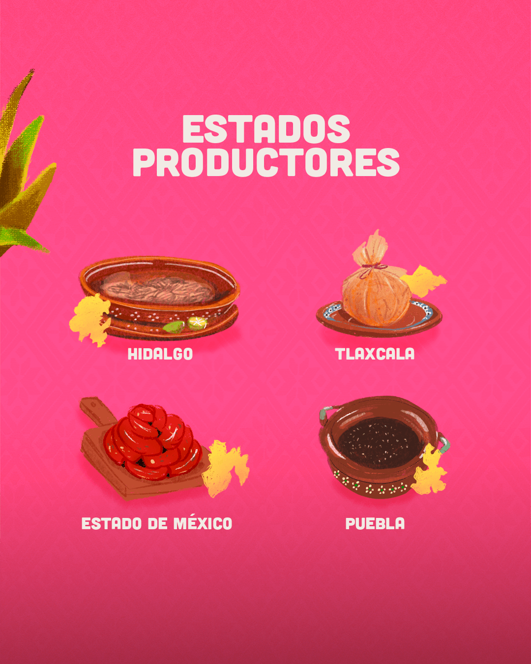 datos pulque