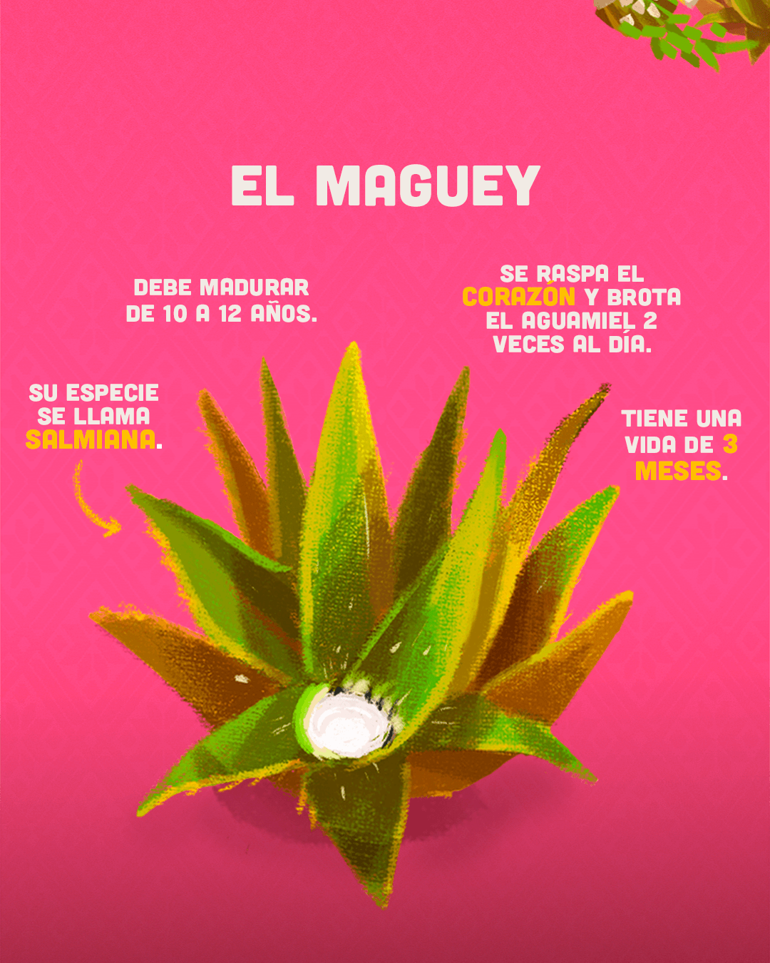 datos pulque