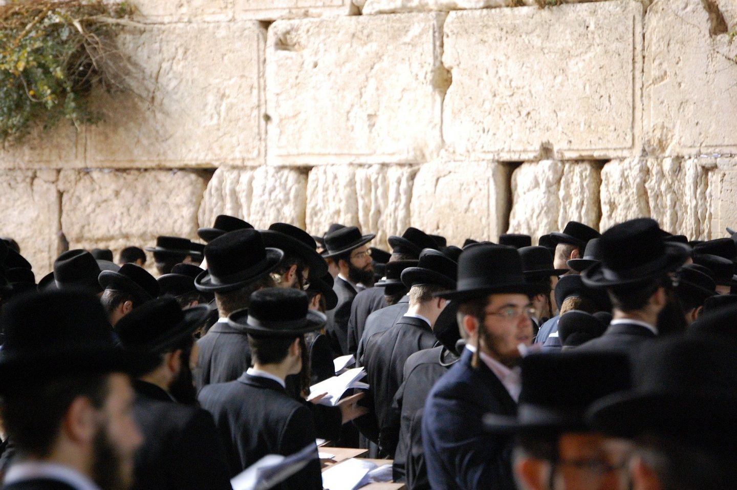 comida kosher