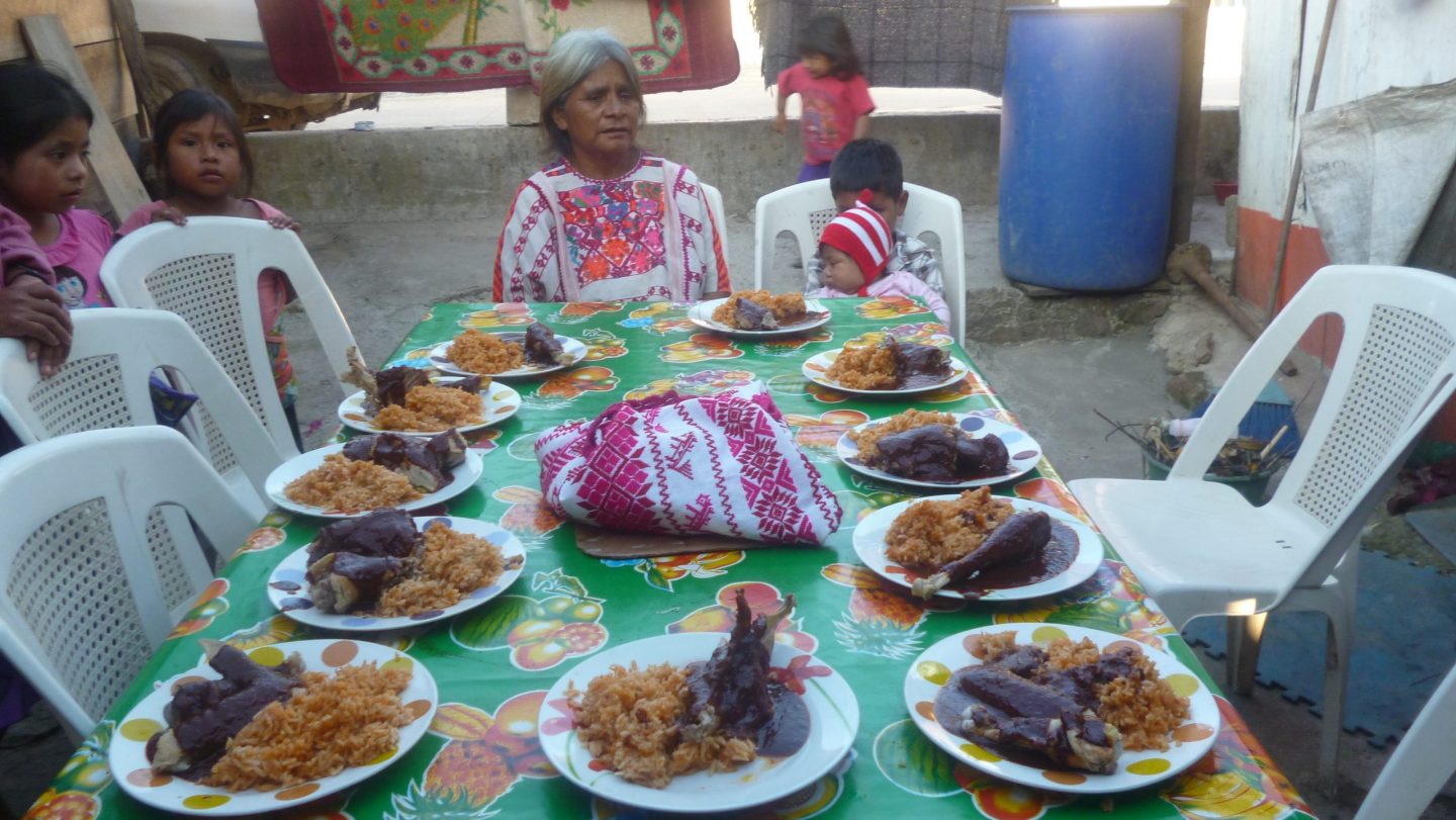 raíz africana comida mexicana