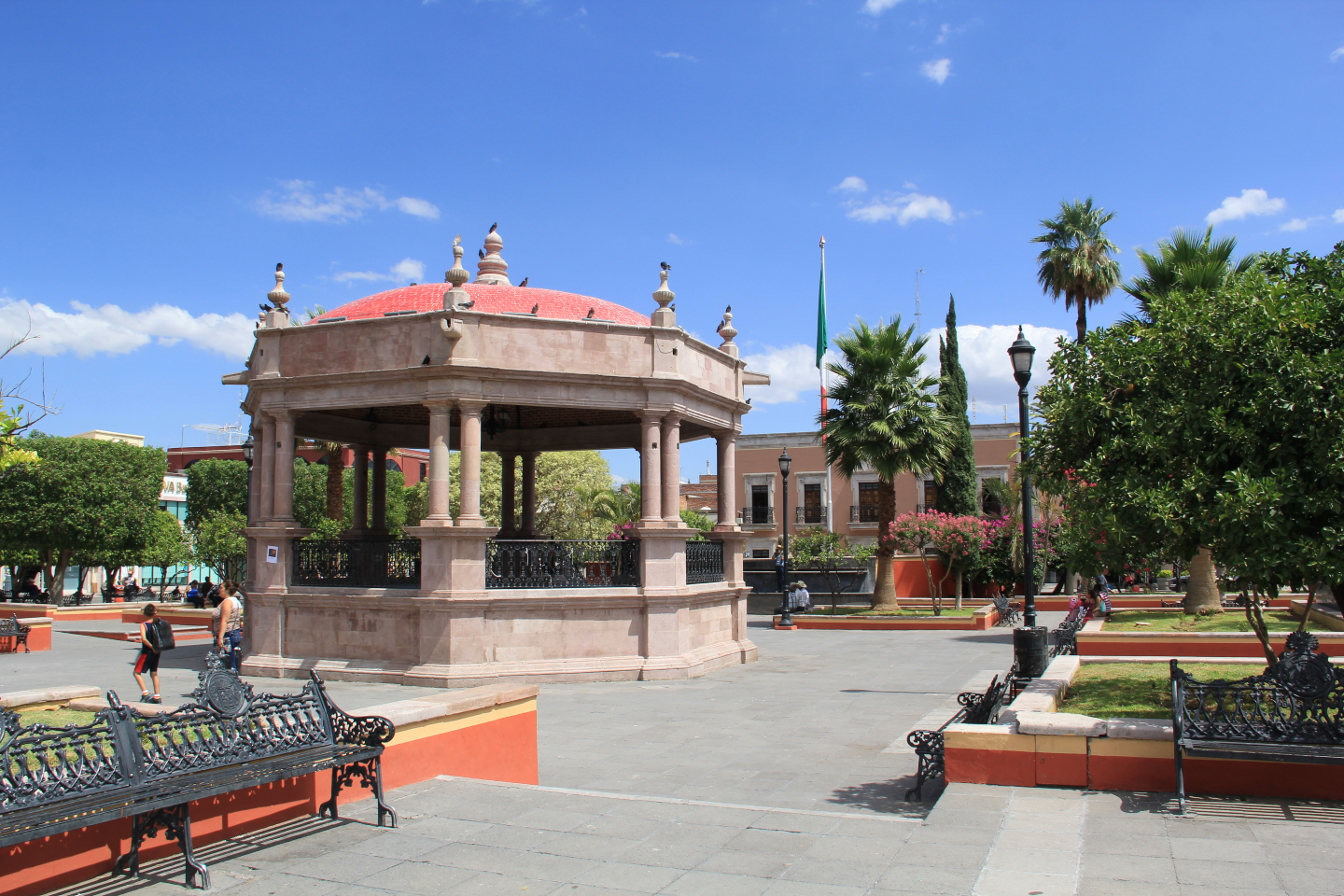 calvillo