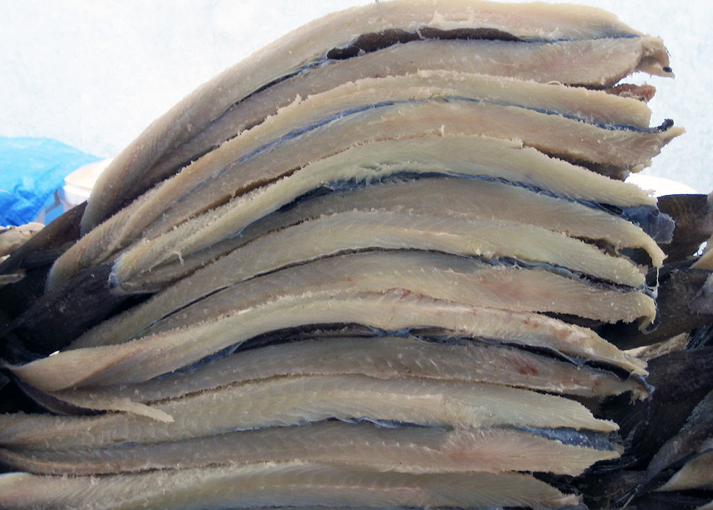 machaca de mantarraya