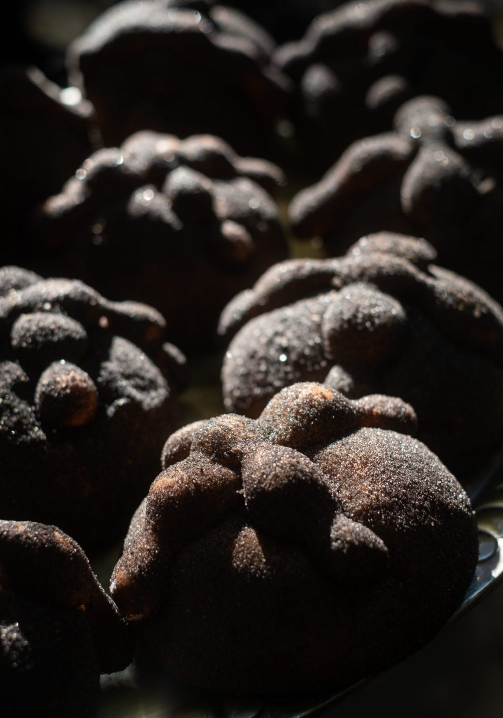 Pan de muerto totomoxtle