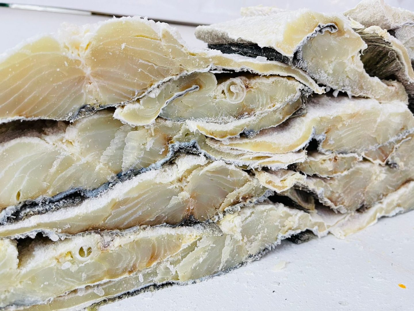 bacalao tiburón