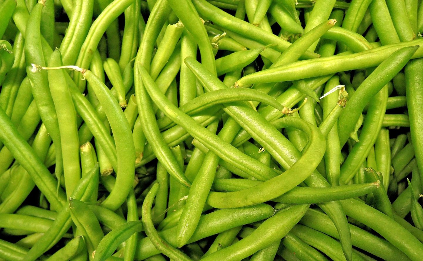 Cómo cocinar ejotes
