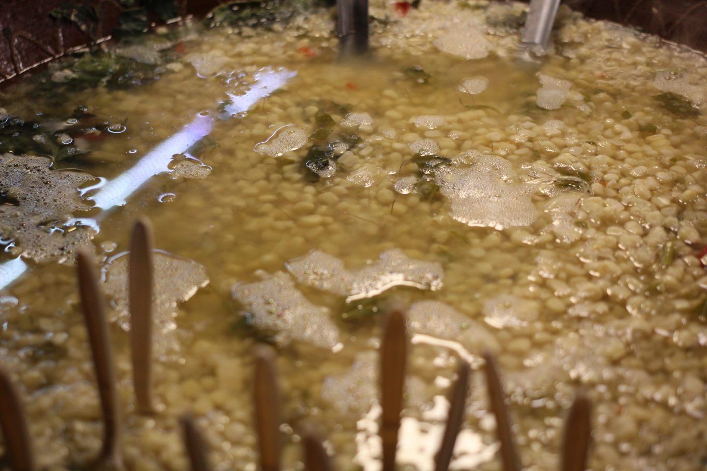 Elotes esquites Estrada