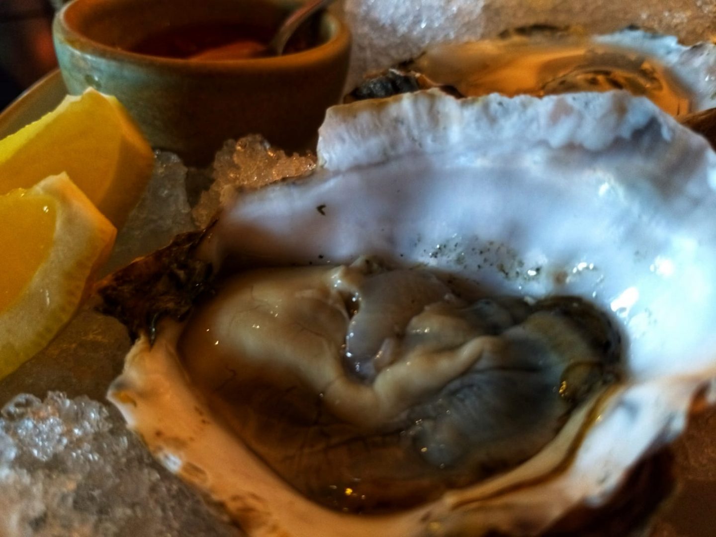 Marea mar maíz y mezcal