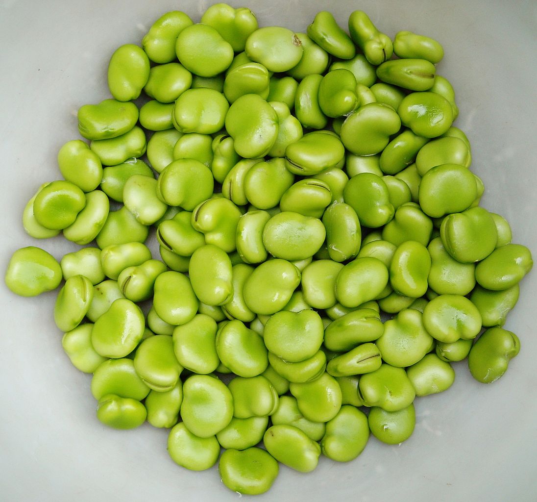 habas verdes en escabeche
