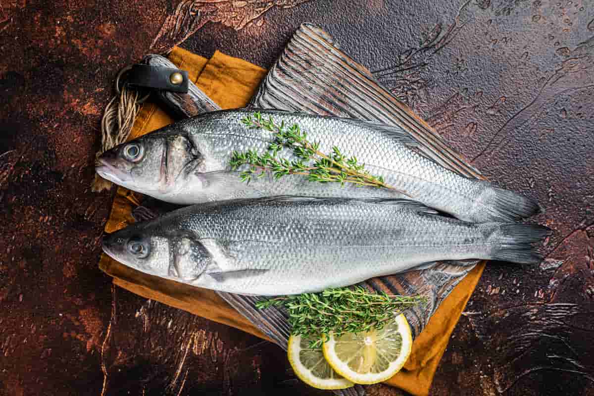Tips para elegir pescado fresco