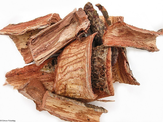 para qué sirve cuachalalate