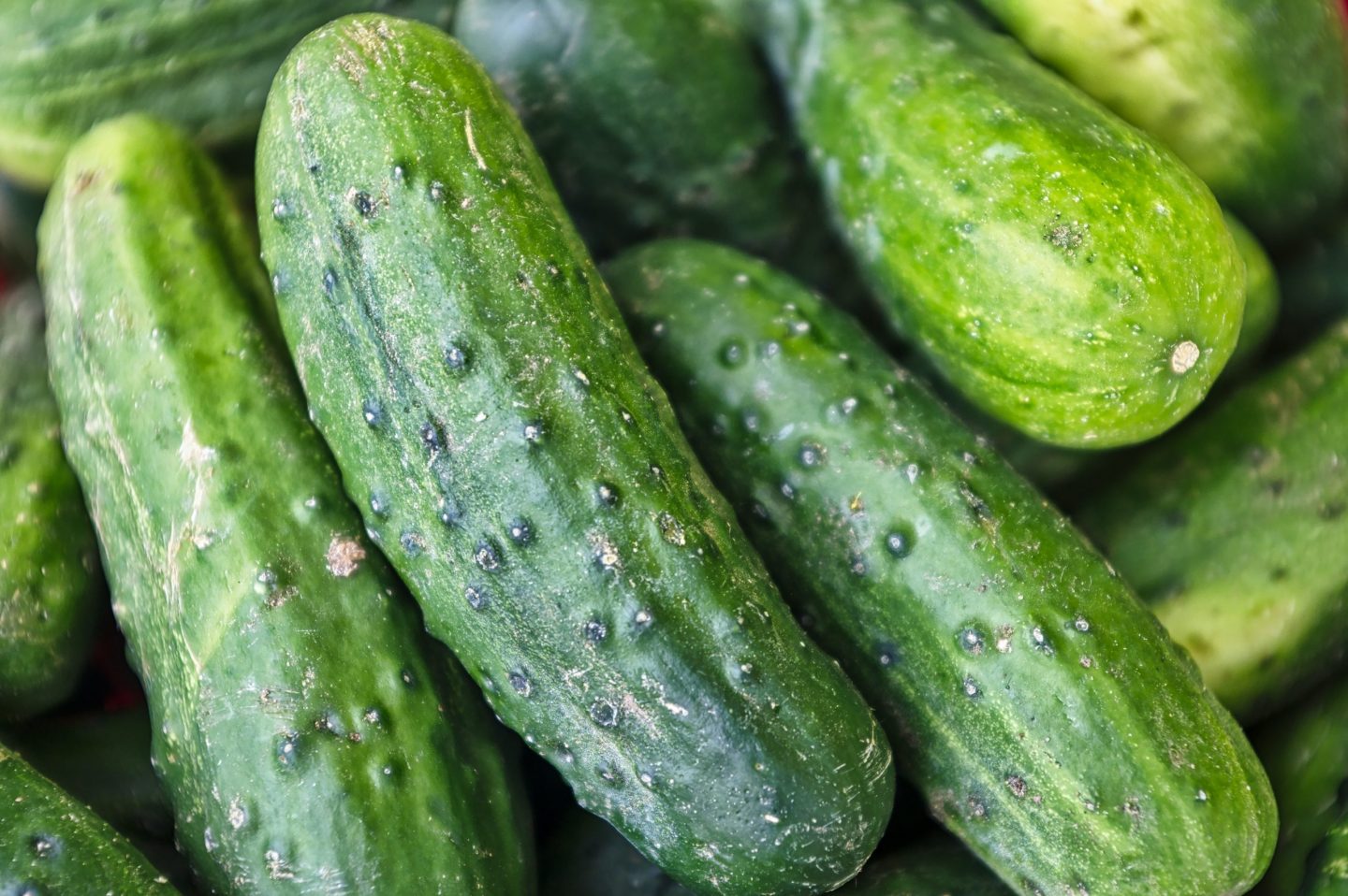 pepinos