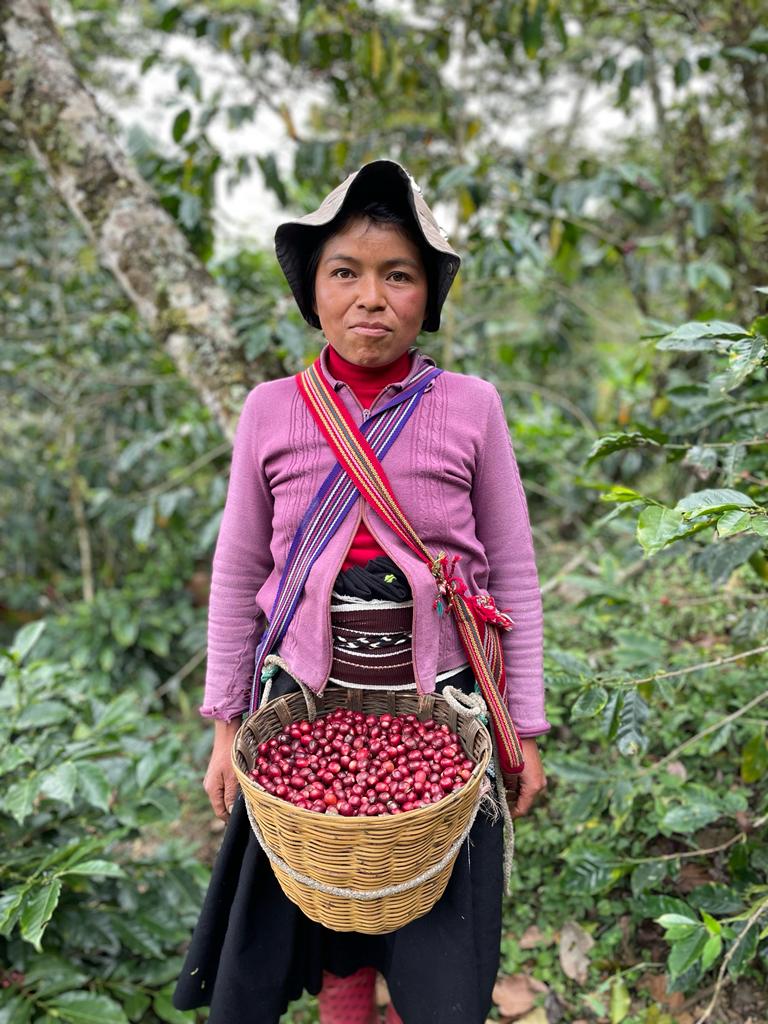 pequeños cafetaleros México