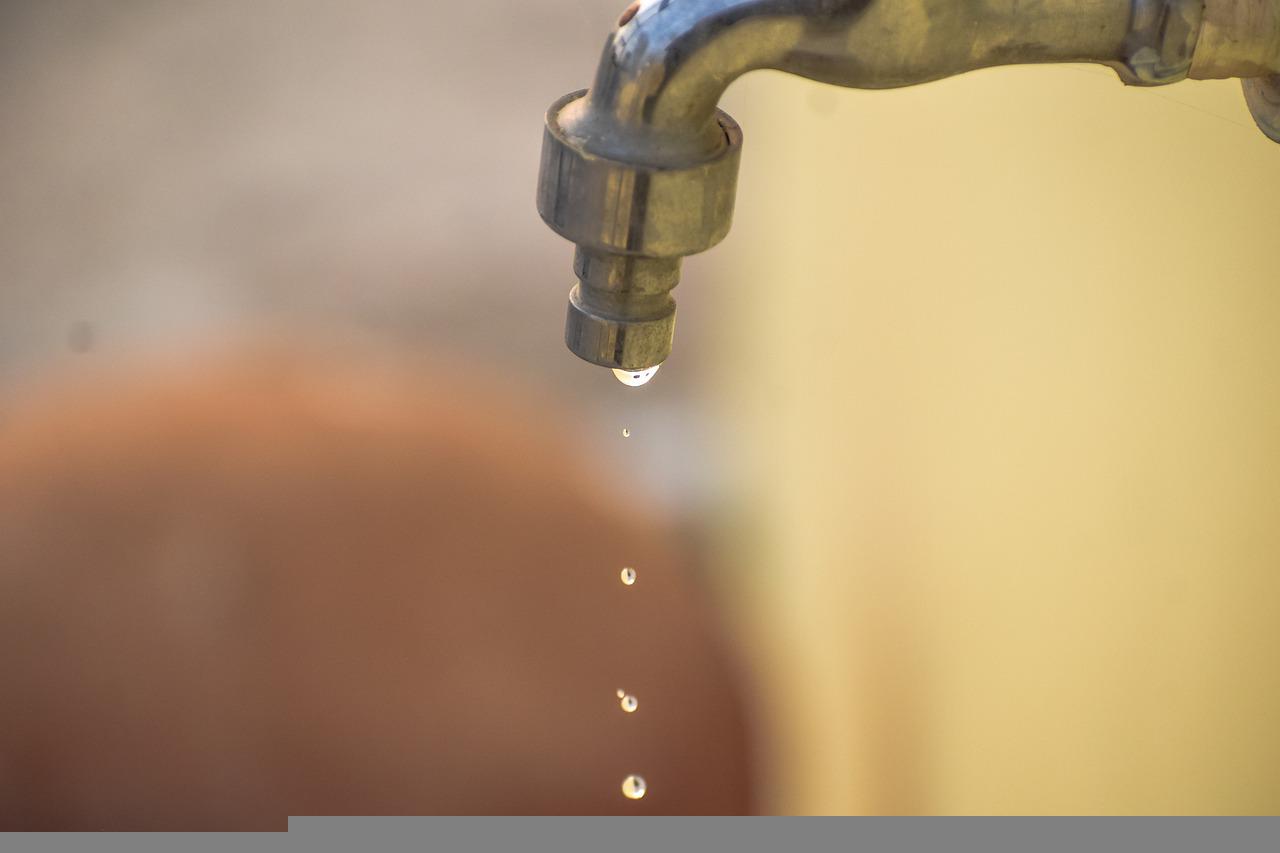 Fugas de agua fomentan la creación de plagas 