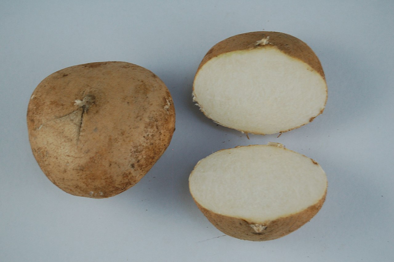 cocadas de jícama