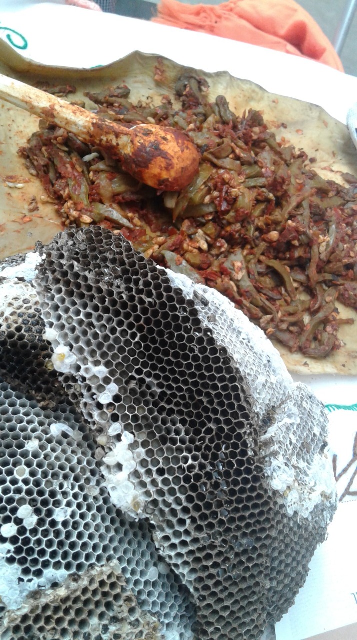 gastronomía hñähu