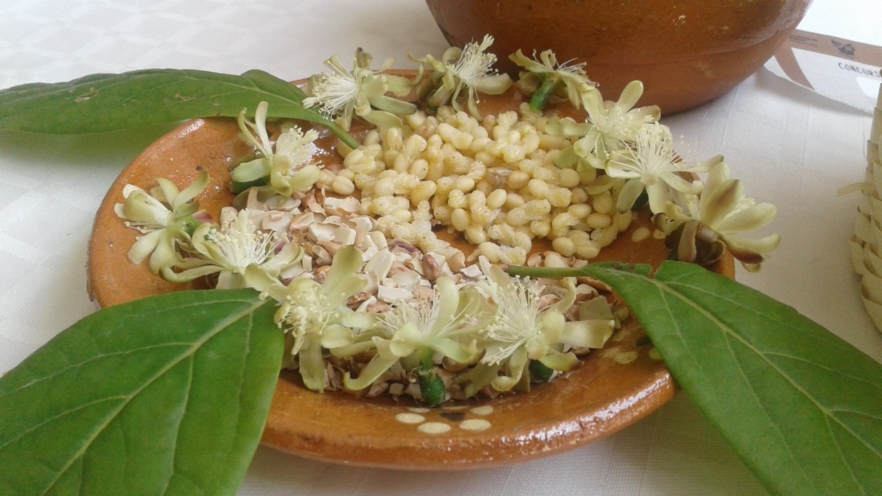 gastronomía hñähu