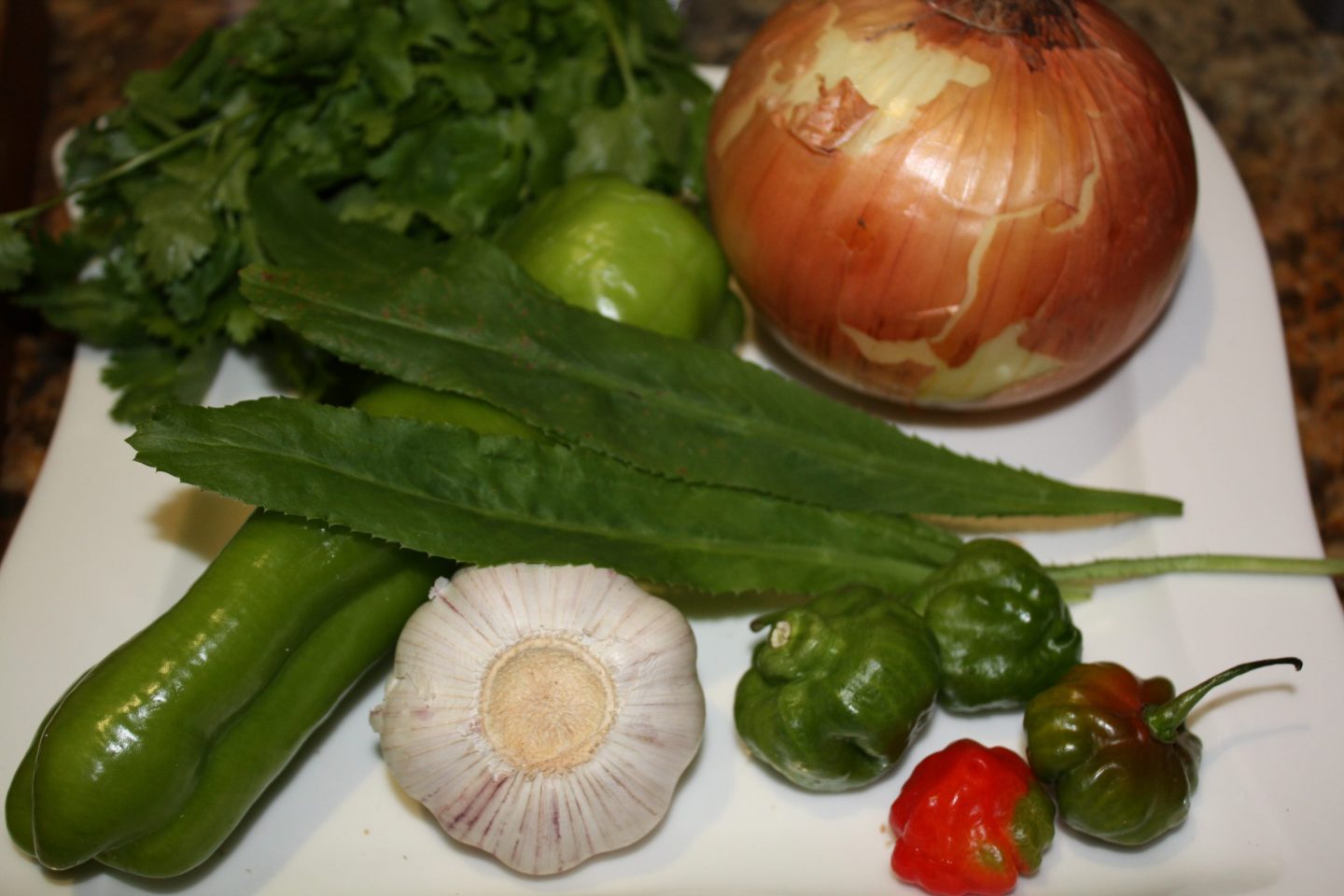 Qué es culantro