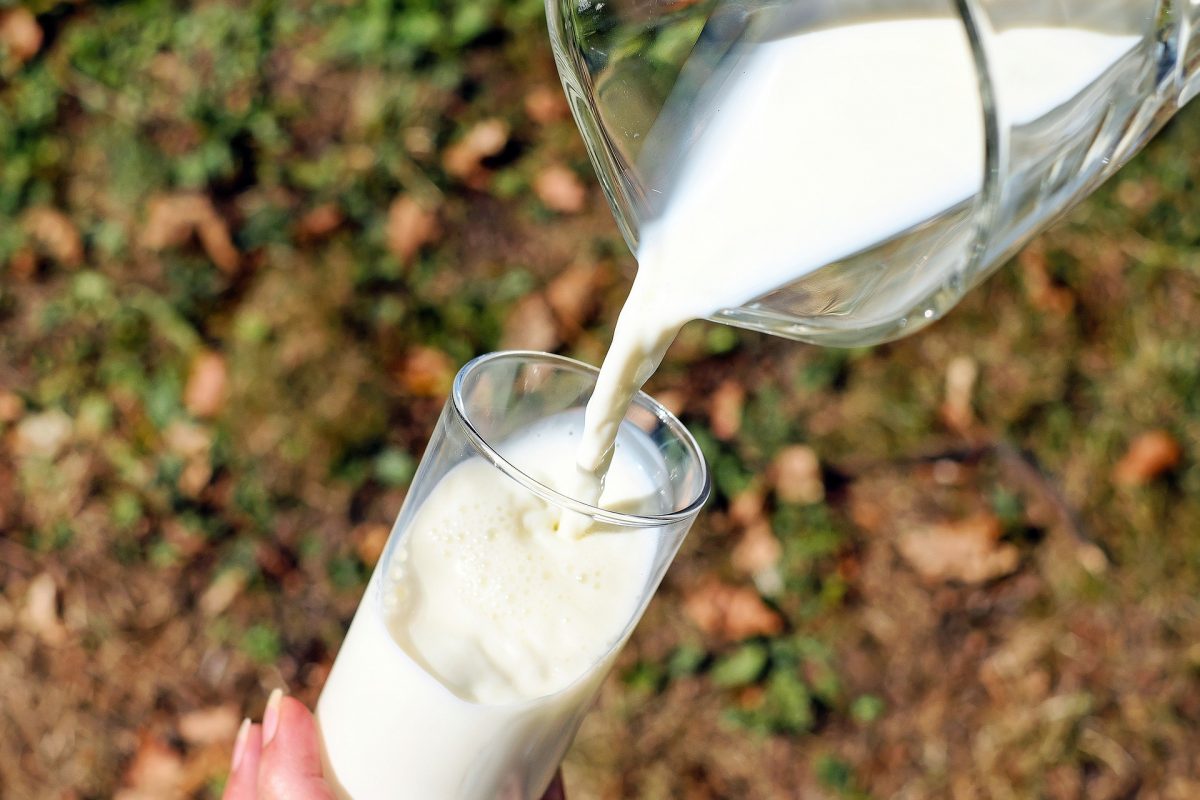 leche de yegua