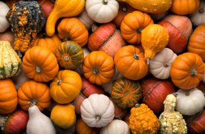 calabaza de Castilla