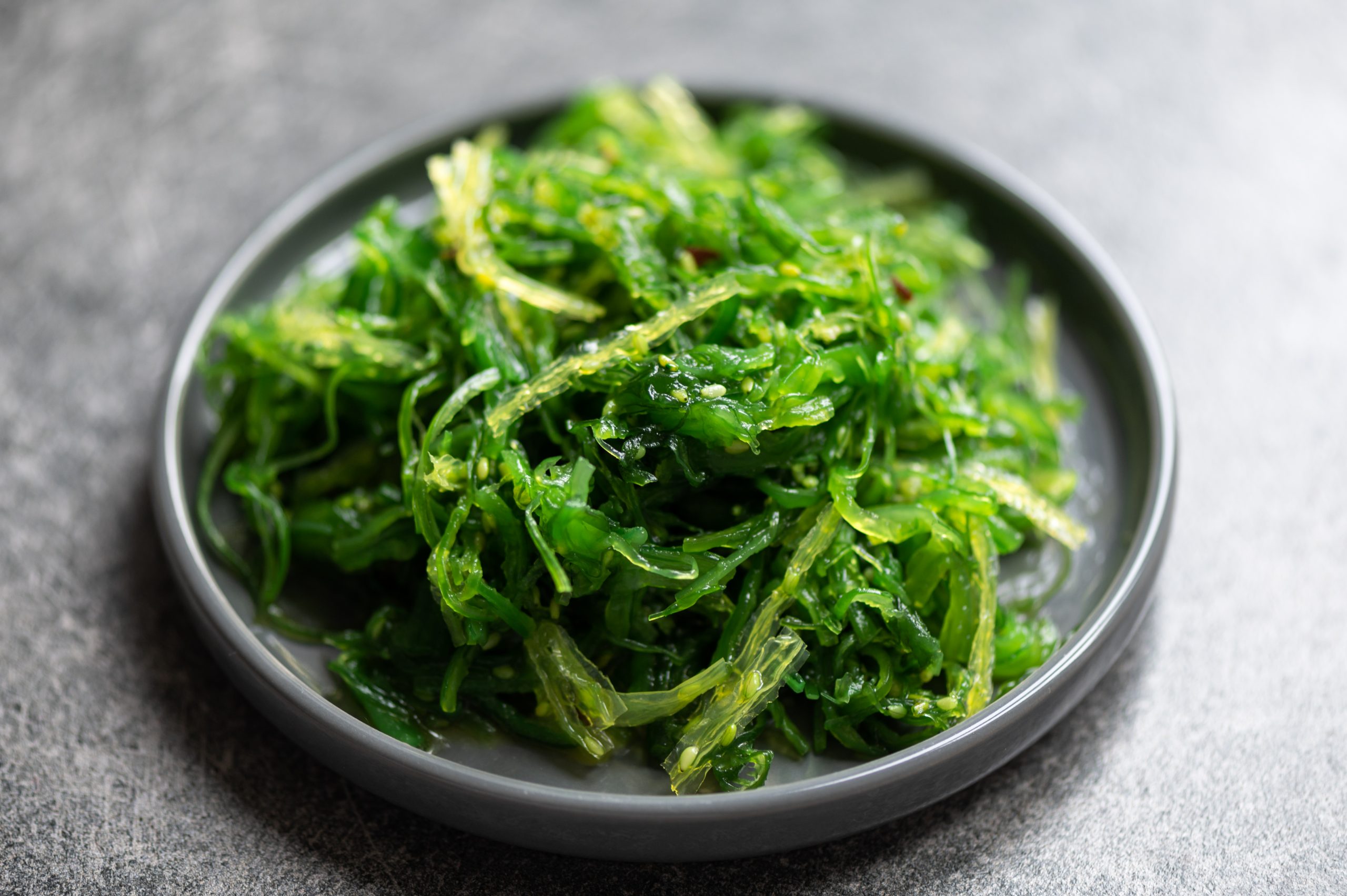 Algas kelp