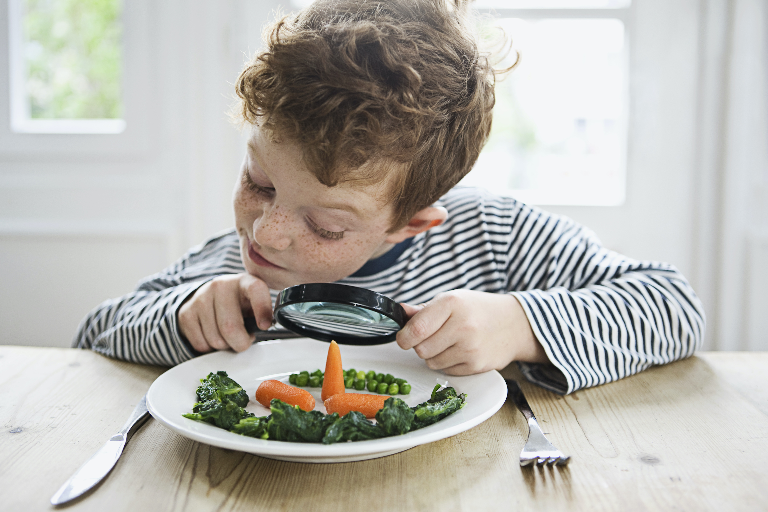 Inocuidad en los alimentos