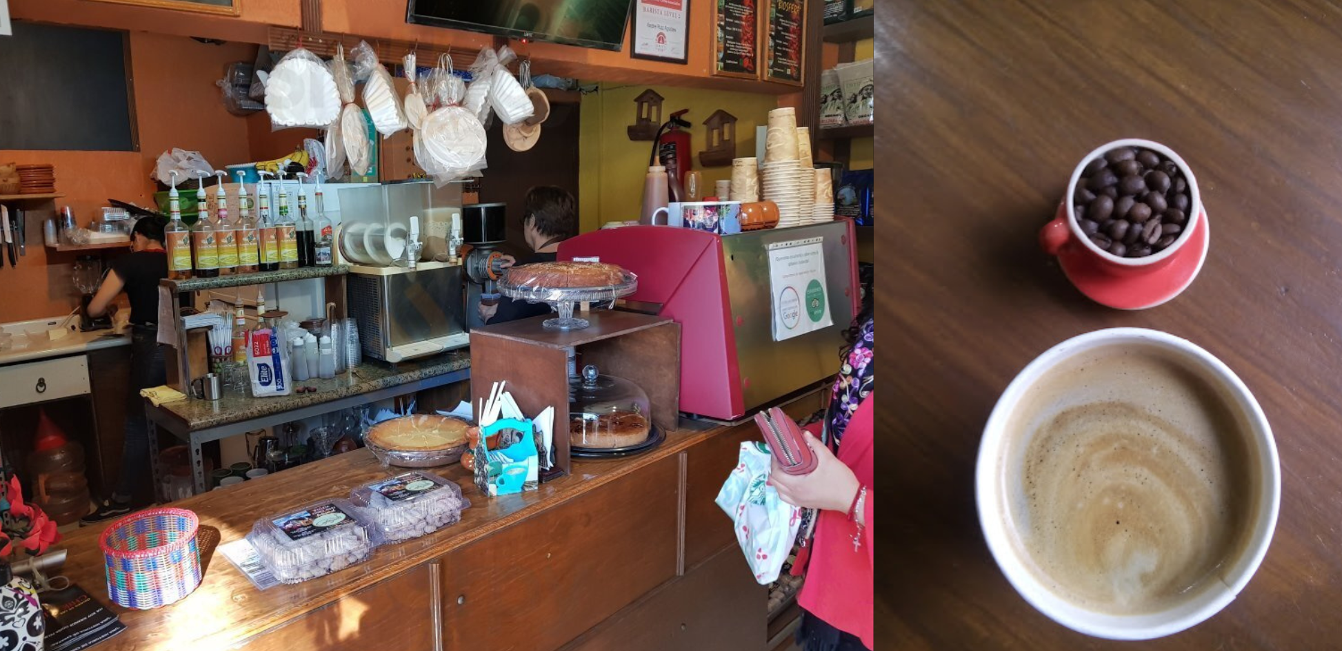 Cafeterías en Av. Miguel Angel De Quevedo / Cafetzalli