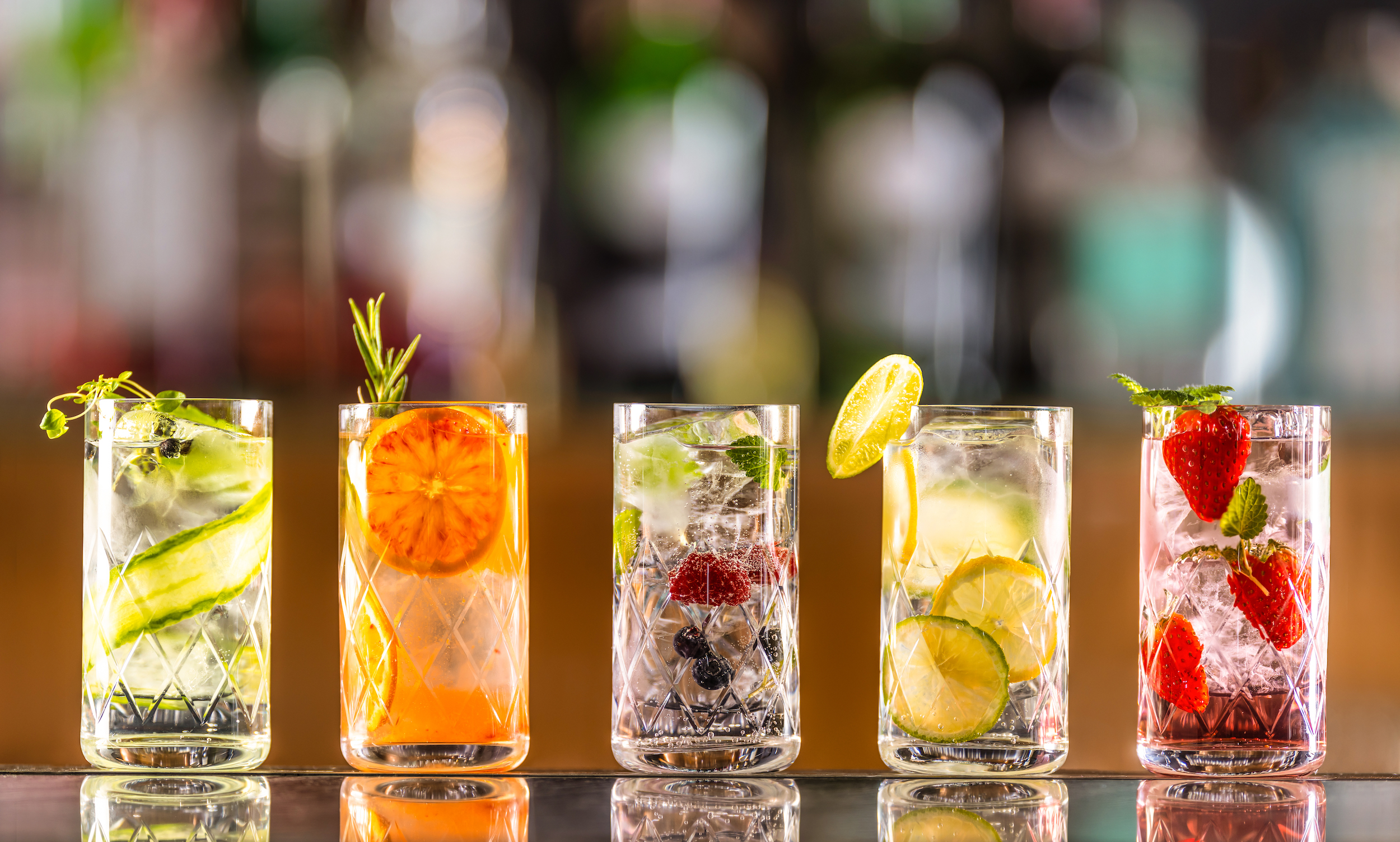 Gin-tonic guia 