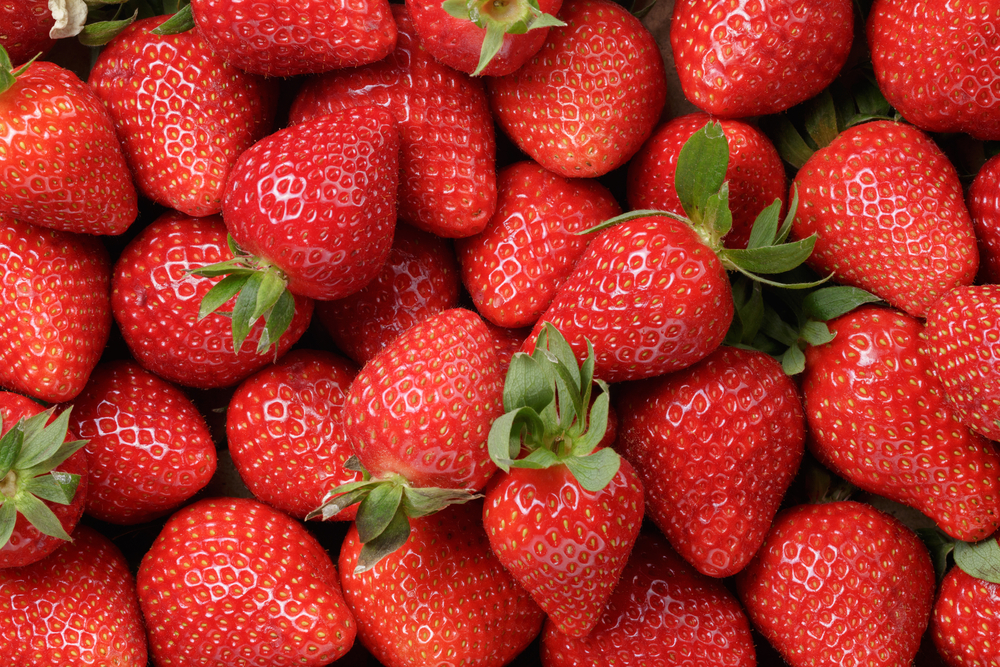 Fresas