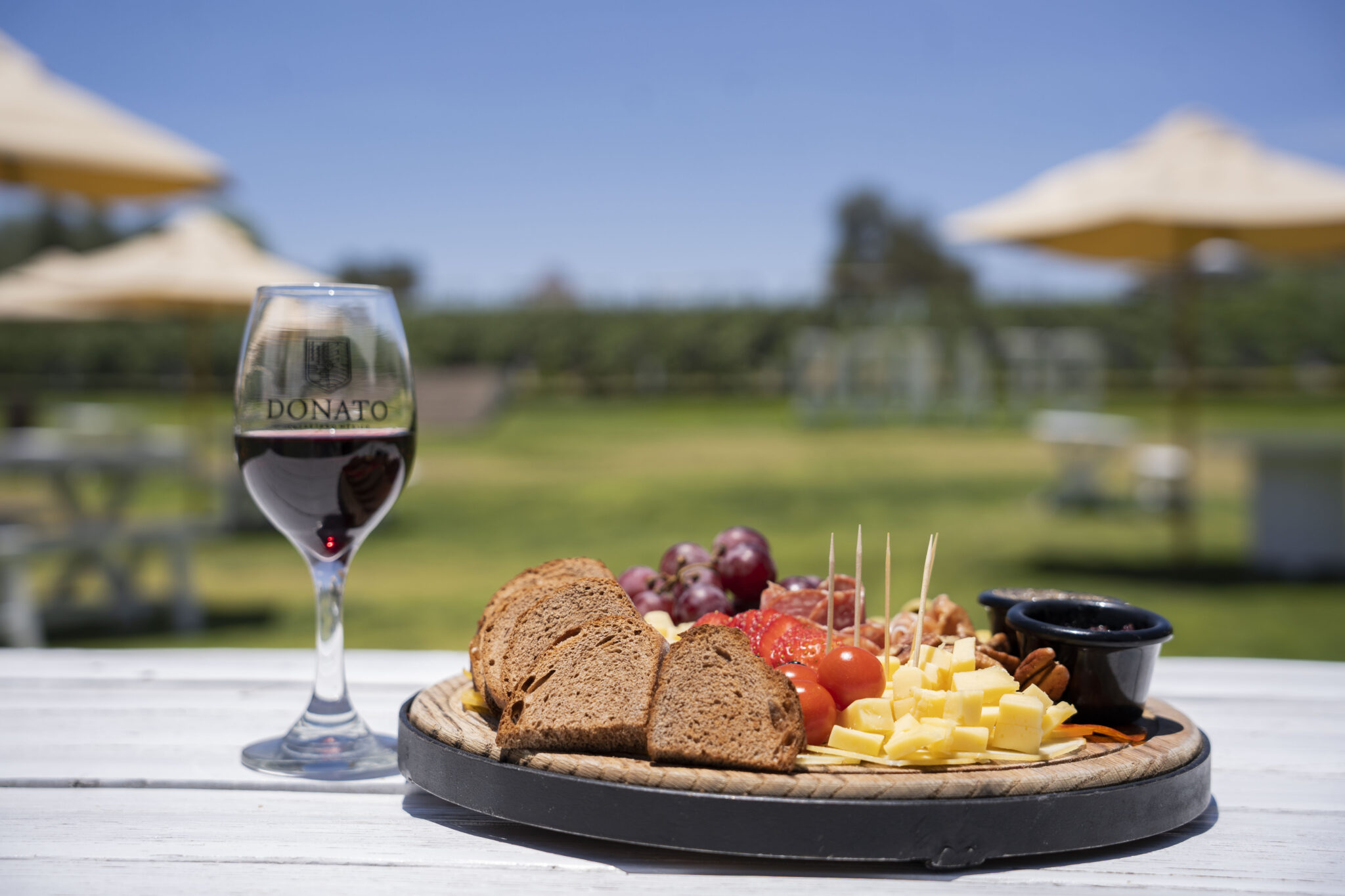 Donato viñedo en Querétaro 